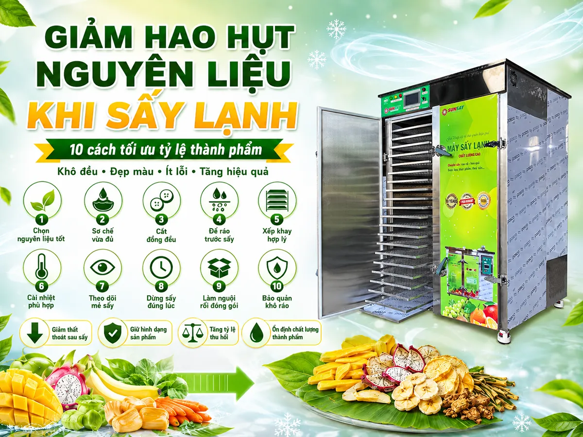 Muốn giảm hao hụt nguyên liệu khi sấy lạnh, hãy bắt đầu từ khâu chọn nguyên liệu tươi, đồng đều và không dập nát.