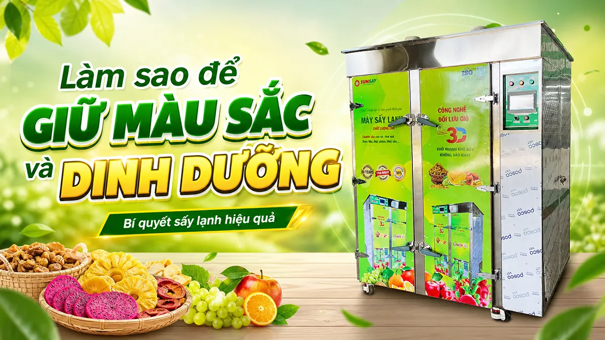 Giữ màu sắc và dinh dưỡng khi sấy lạnh là yếu tố quyết định giá trị thật của nông sản sau chế biến.