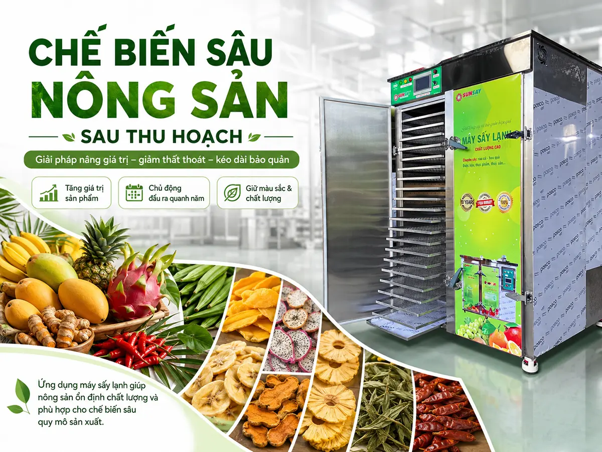 Chế biến sâu nông sản sau thu hoạch giúp giảm thất thoát và nâng cao giá trị sản phẩm.