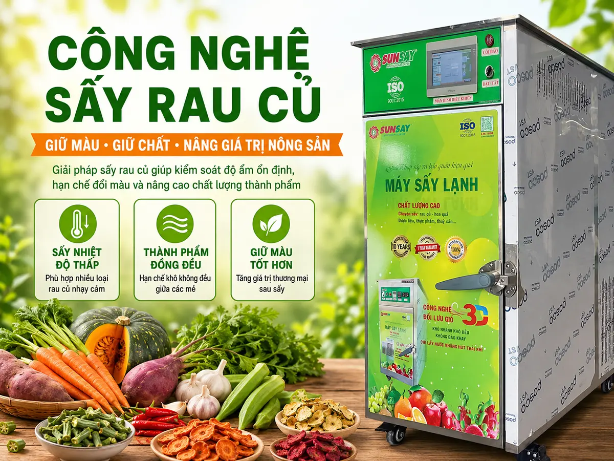 Công nghệ sấy rau củ phù hợp giúp kiểm soát độ ẩm, màu sắc và chất lượng thành phẩm ổn định hơn.