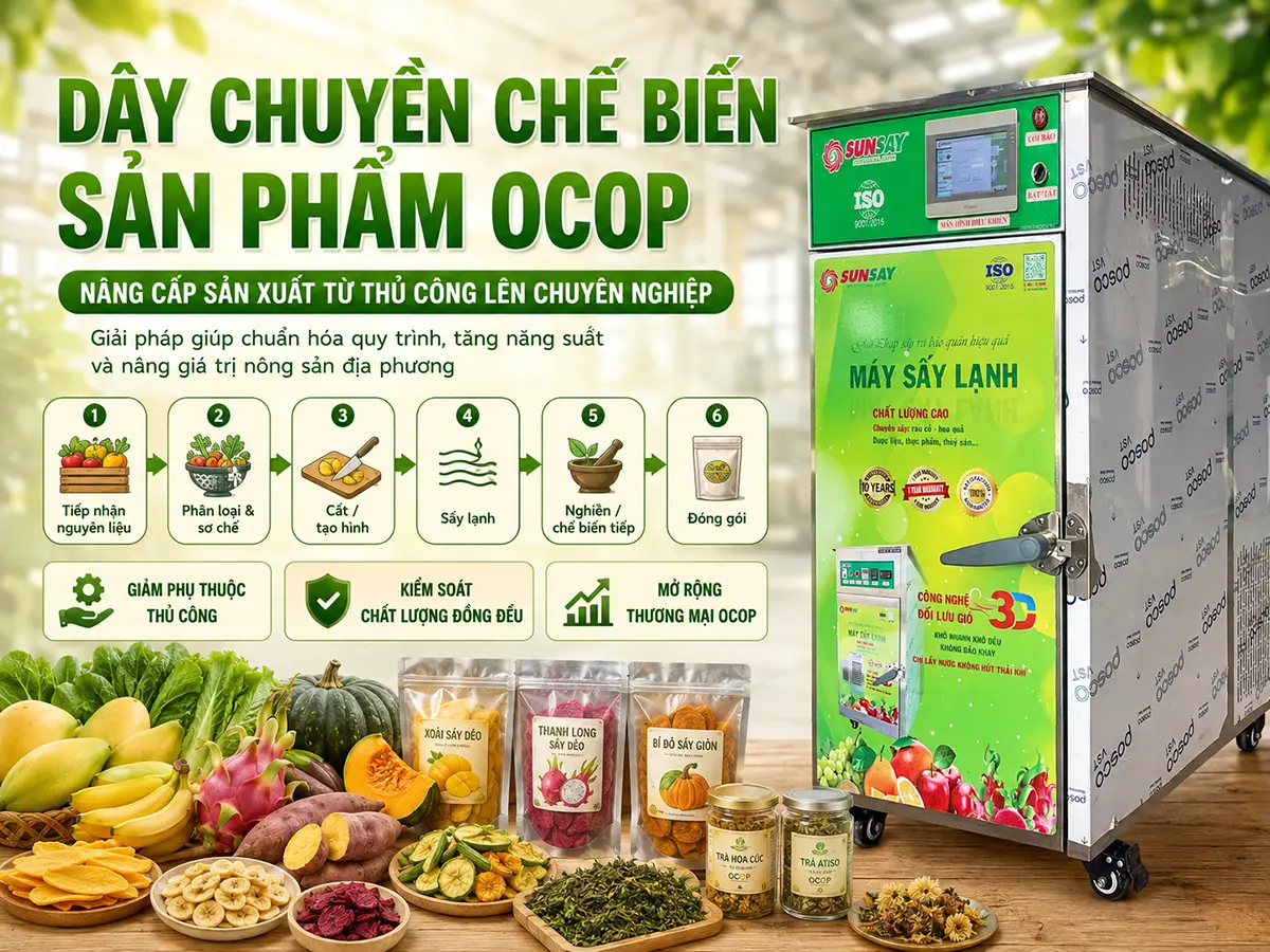 Dây chuyền chế biến sản phẩm OCOP giúp liên kết các công đoạn từ sơ chế, sấy đến đóng gói thành một quy trình sản xuất đồng bộ.