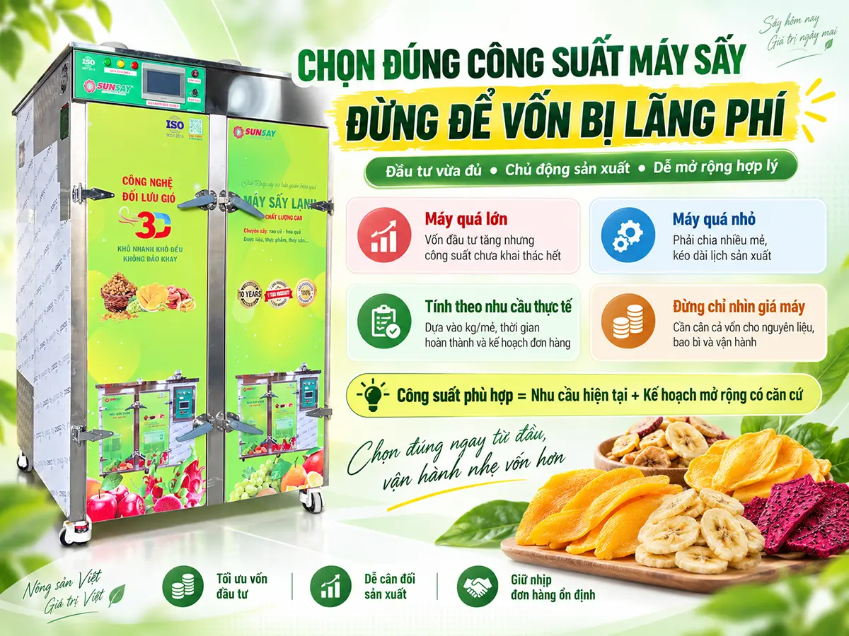 Chọn đúng công suất máy sấy để không lãng phí vốn bắt đầu từ lượng nguyên liệu và nhu cầu sản xuất thực tế.