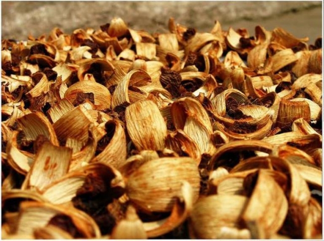 Sản phẩm cau sấy khô