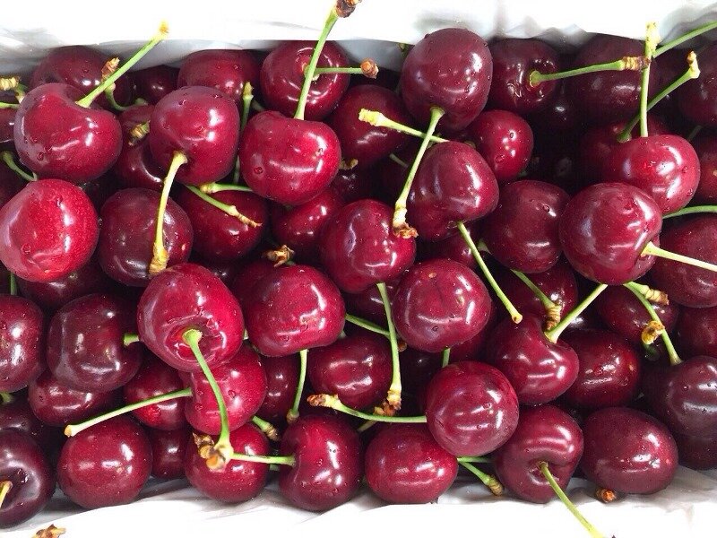 Cherry tươi màu đỏ rất bắt mắt tươi mọng