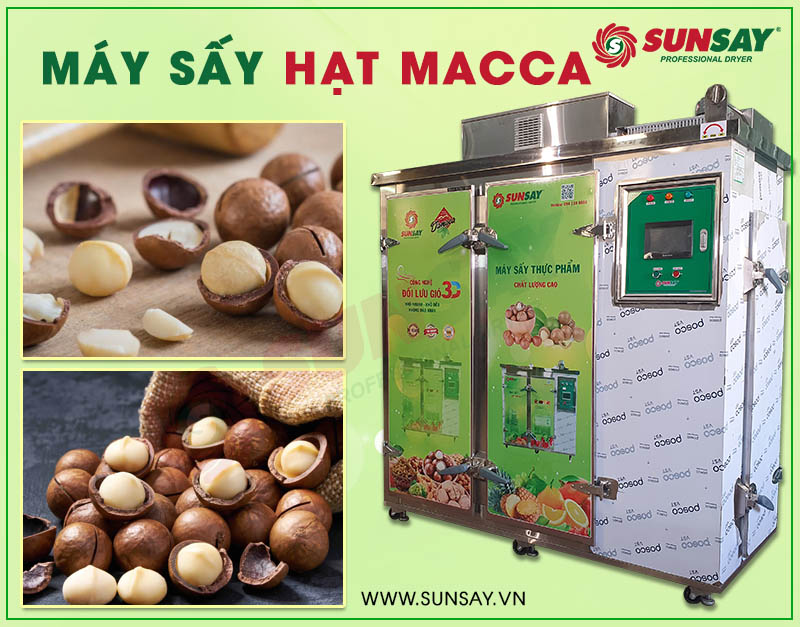 Máy sấy nhiệt sấy hạt macca