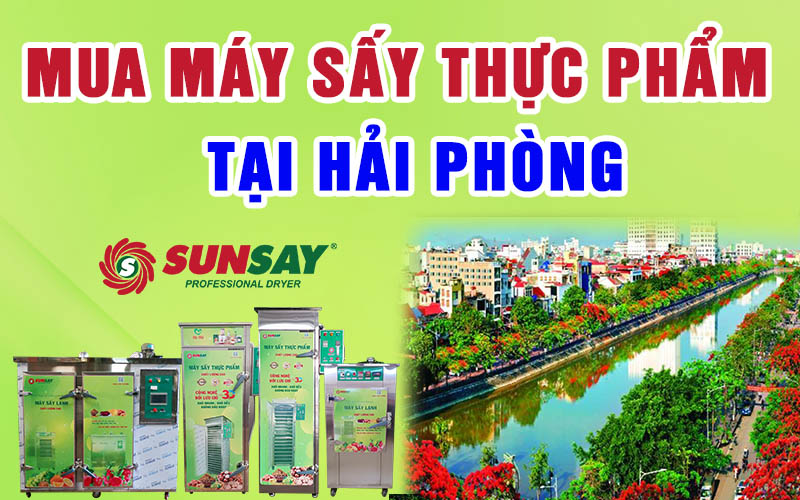 Mua máy sấy thực phẩm tại Hải Phòng