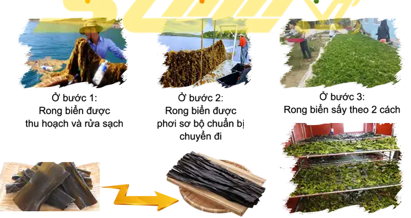 Cách làm rong biển sấy khô
