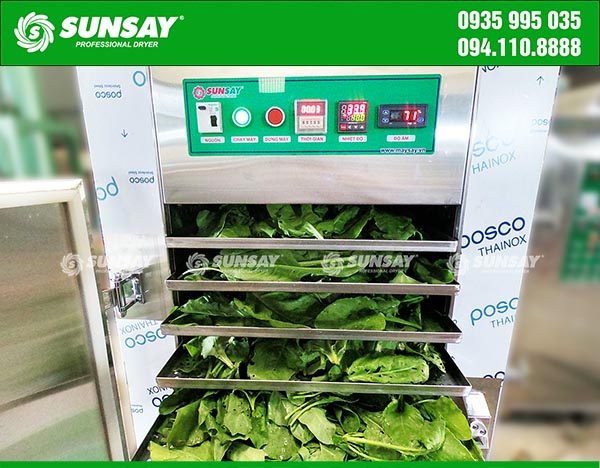 Rau cải bó xôi sấy lạnh bằng máy sấy lạnh SUNSAY
