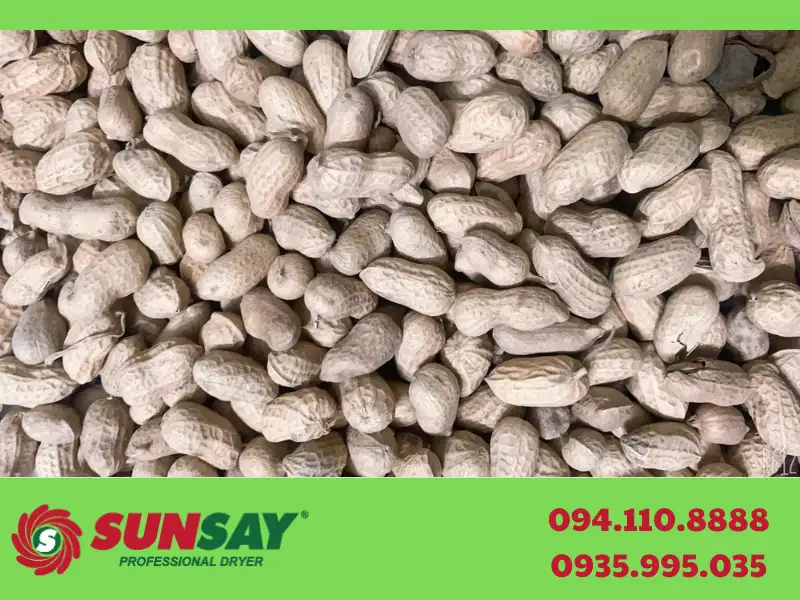 Đậu phộng sấy đa dạng công dụng