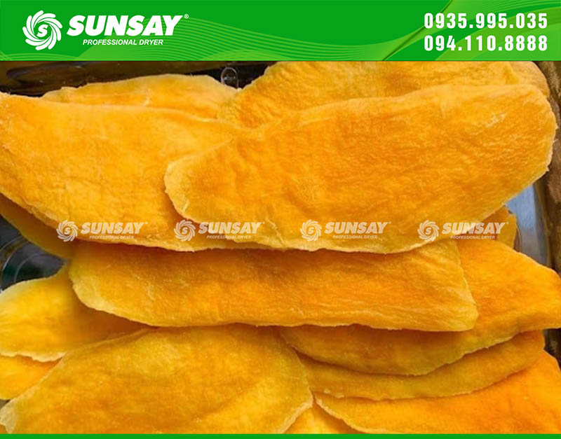 Nhứng lát xoài Úc sấy lạnh vàng ươm được sấy bởi máy sấy SUNSAY nâng tầm chất lượng nông sản Việt